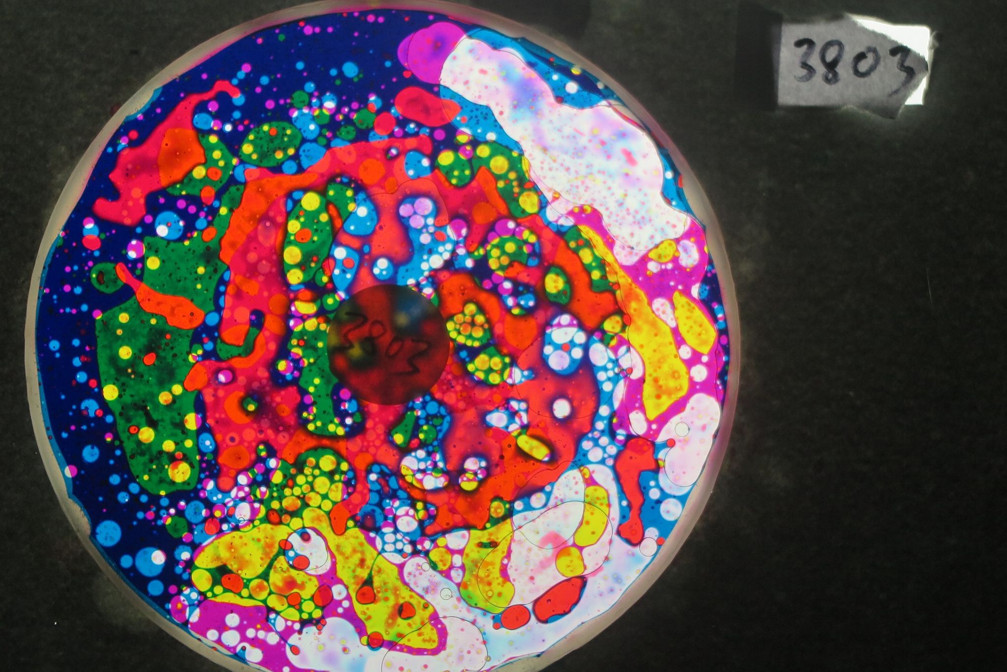 BV3803 bubble vision oil wheel